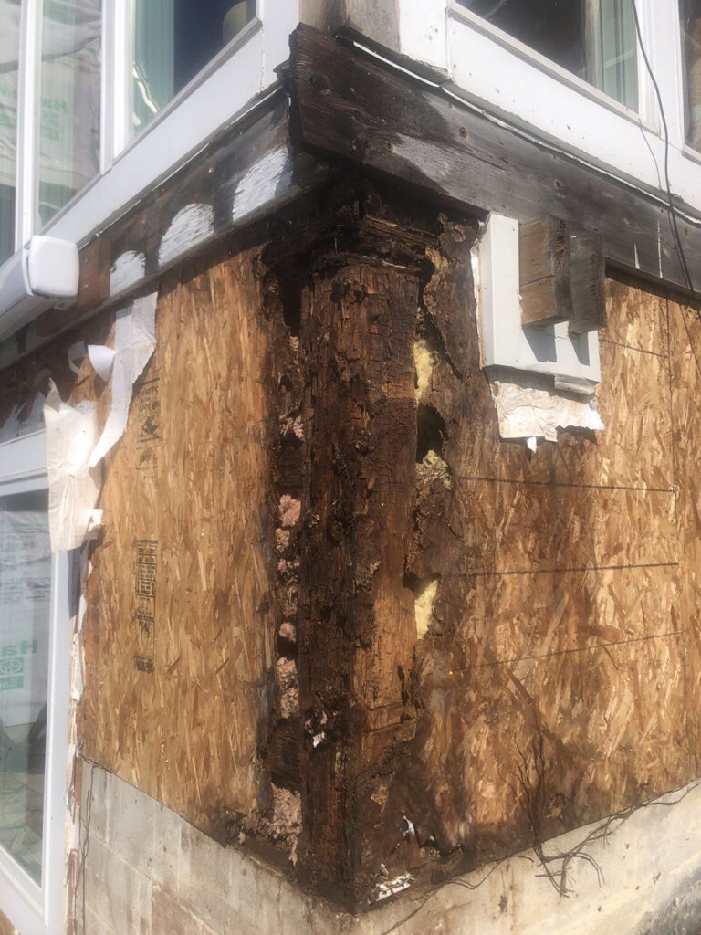 Close-up of water damage behind cedar siding and improperly flashed windows on Chanhassen home.