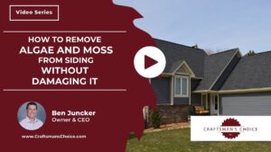 remove algae and moss from siding