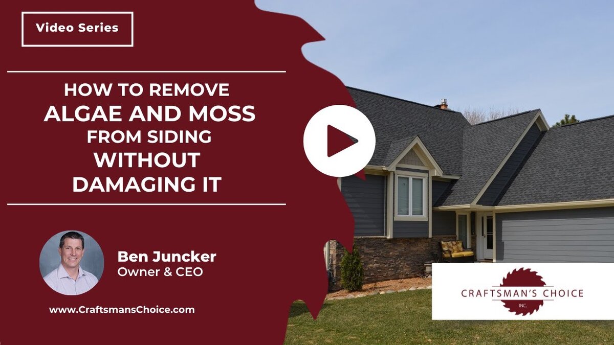 remove algae and moss from siding