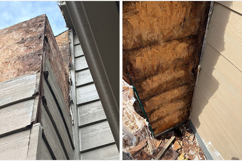 Water-damaged sheathing and framing exposed after chimney removal on Maple Grove MN home