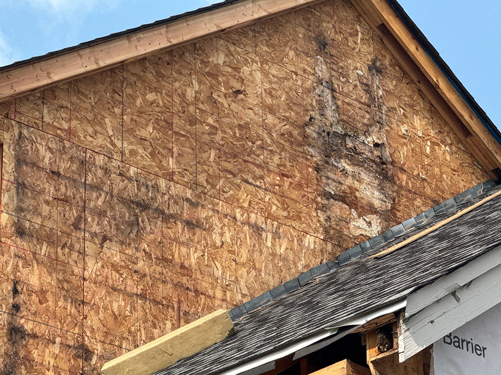 Rotted wall sheathing exposed after cedar siding removal